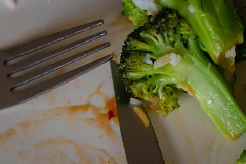 Broccoli left on the dinner plate. Stock Photos