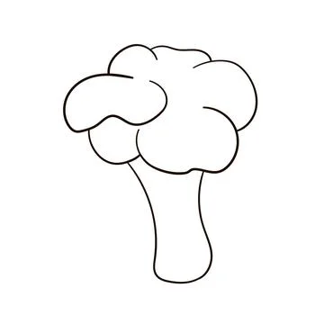 Broccoli line icon. Broccoli in line art. Broccoli vector illustration. Stock Illustration