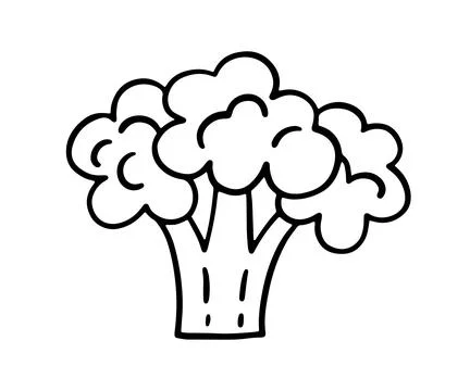 Broccoli Line Icon Vector Doodle Shape Stock Illustration
