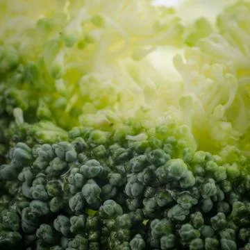 Broccoli macro Stock-Fotos
