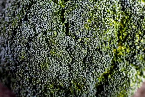 Broccoli macro Stock Photos