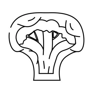 Broccoli muffins line icon vector illustration Stock Illustration
