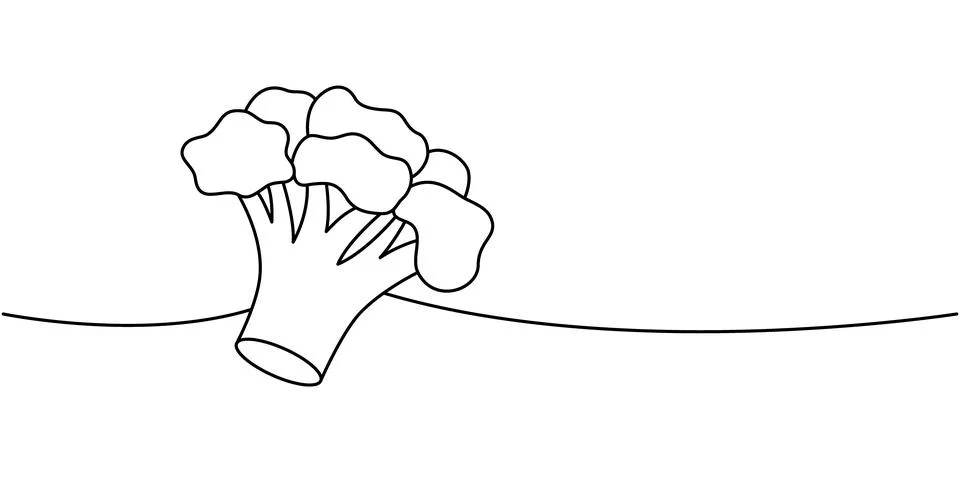 Broccoli one line continuous drawing. Fresh organic vegetable. Vector Stock Illustration