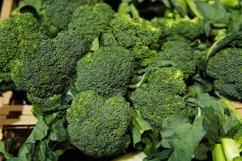 Broccoli, or asparagus cabbage. 스톡 사진
