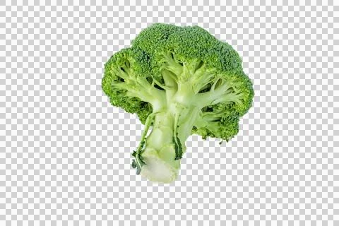 Broccoli or calabrese cabbage head isolated transparent png Stock Photos