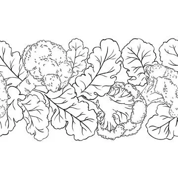 Broccoli Outline Horizontal Seamless Pattern. Stock Illustration