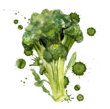 Broccoli with paint blots Stock Illustration