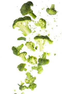 Broccoli pattern isolated on a white background. Various multiple parts of br Stock Photos