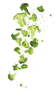 Broccoli pattern isolated on a white background. Various multiple parts of br Stock Photos