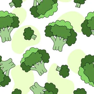 Broccoli Pattern seamless on white background Vector Stock Illustration