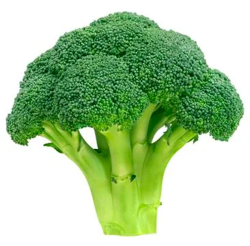 Broccoli Stock Photos