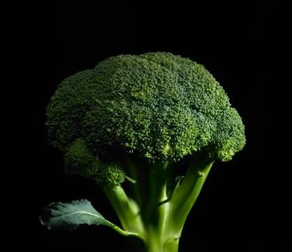 Broccoli Stock Photos