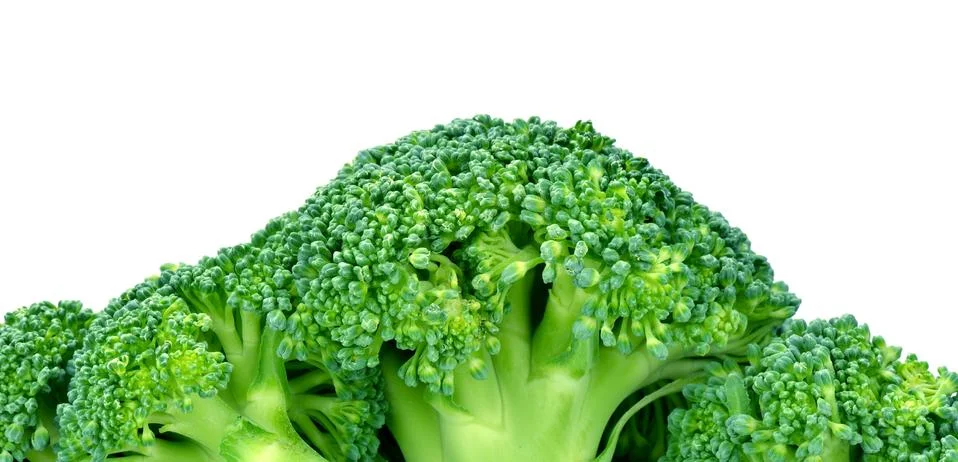 Broccoli Stock Photos