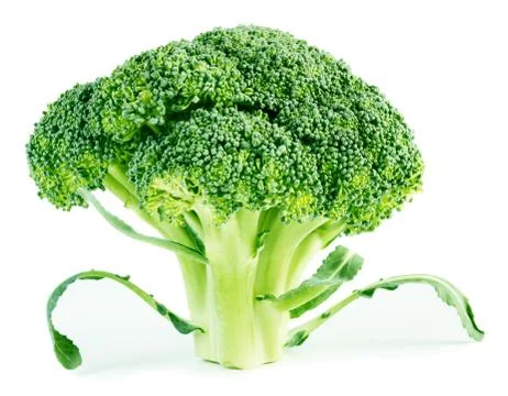 Broccoli Stock Photos