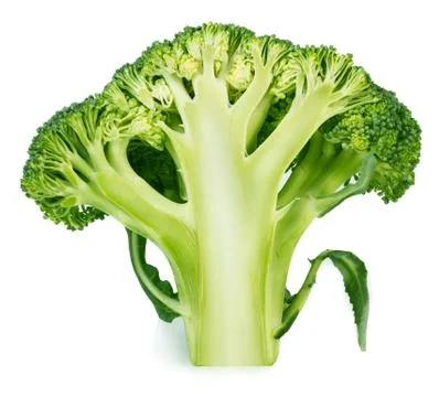 Broccoli Stock Photos