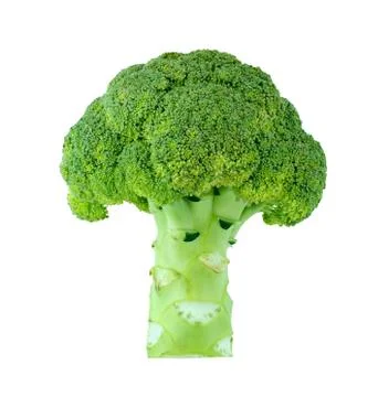 Broccoli Stock Photos