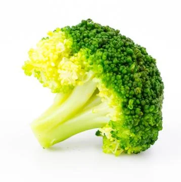 Broccoli 写真素材