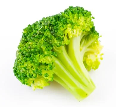 Broccoli 写真素材