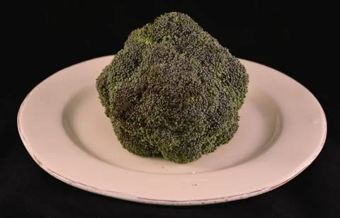 Broccoli 스톡 사진