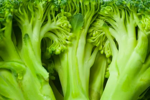 Broccoli Stock Photos