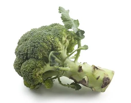 Broccoli Stock Photos