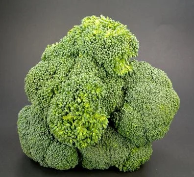Broccoli Stock Photos
