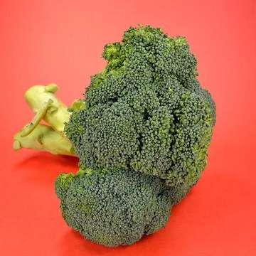Broccoli Stock Photos