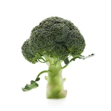Broccoli Stock Photos