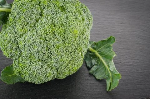 Broccoli Stock Photos