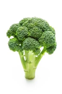 Broccoli Stock Photos