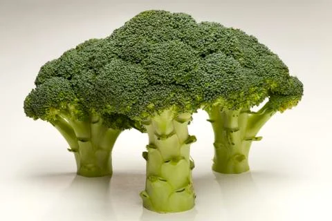 Broccoli Stock Photos