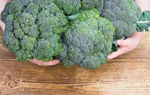 Broccoli Stock Photos