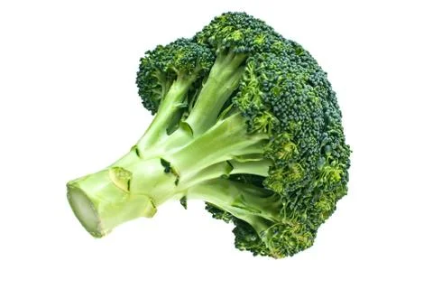 Broccoli. Stock Photos