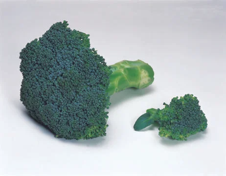 Broccoli Stock Photos