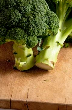 Broccoli 写真素材
