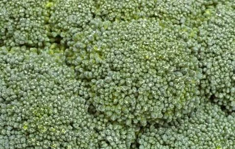 Broccoli Foto stock