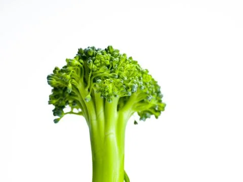 Broccoli Stock Photos