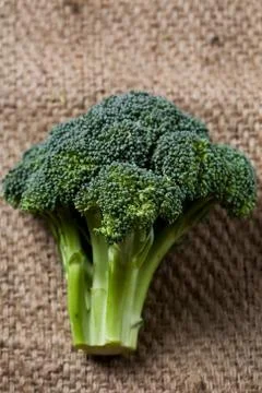 Broccoli Stock Photos