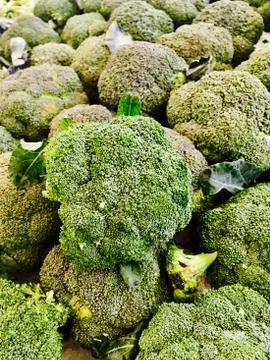Broccoli Stock Photos
