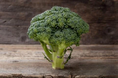 Broccoli Stock Photos