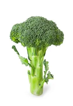 Broccoli Stock Photos