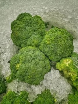 BROCCOLI Stock Photos