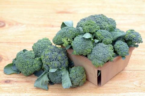 Broccoli Stock Photos