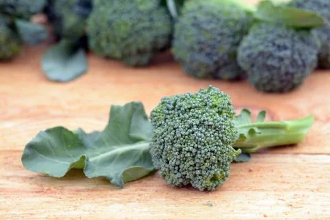 Broccoli Stock Photos
