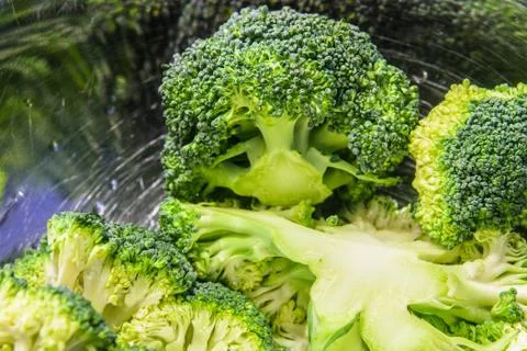 Broccoli 写真素材