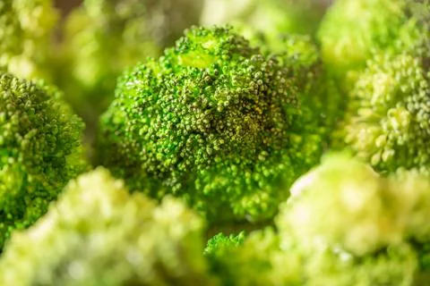 Broccoli Stock Photos