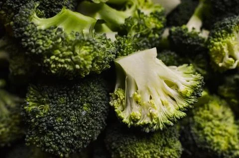 Broccoli Stock Photos
