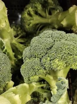 Broccoli Stock Photos