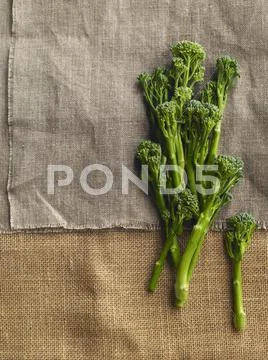 Broccoli on a piece of linen Stock Photos