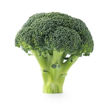 Broccoli placed on a white background Stock Photos